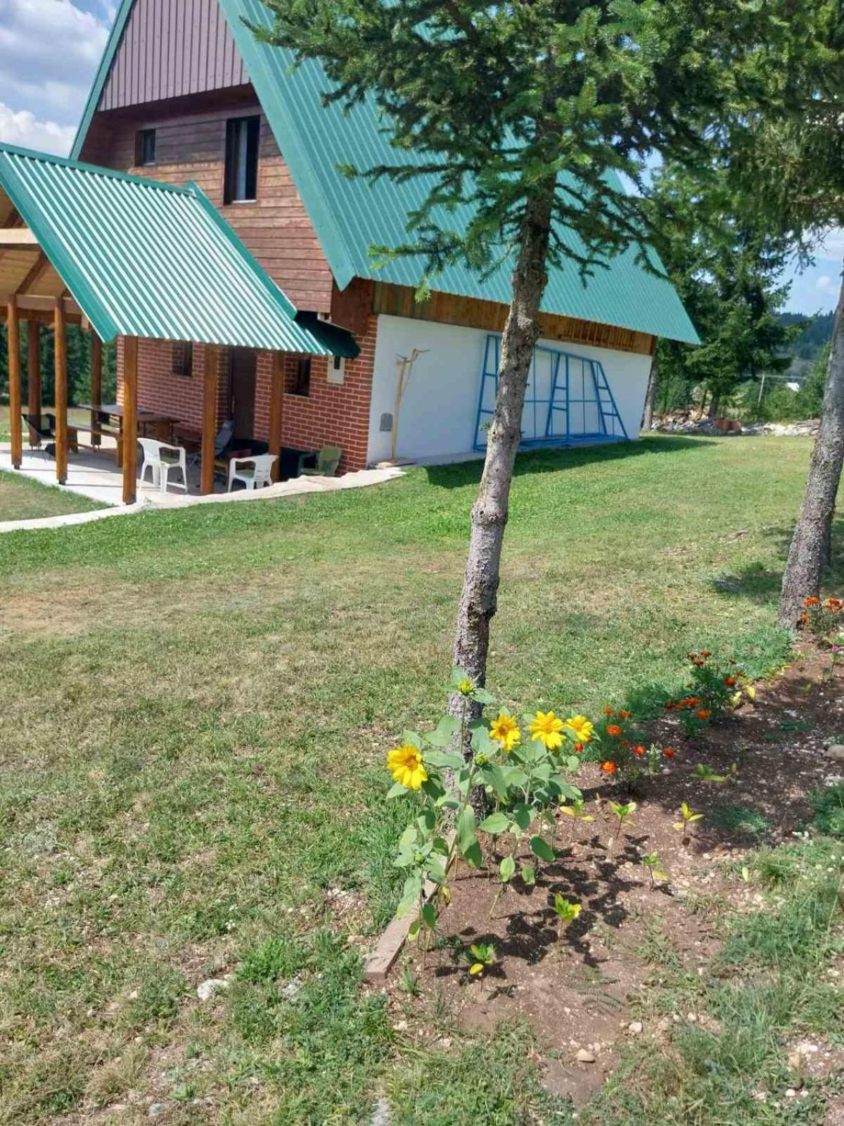 House In Forest Zabljak  Exterior photo