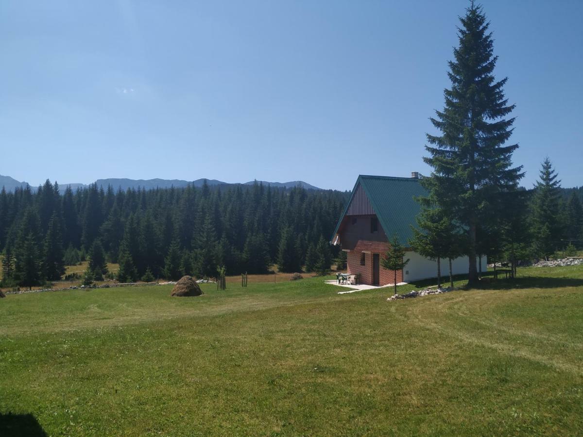 House In Forest Zabljak  Exterior photo